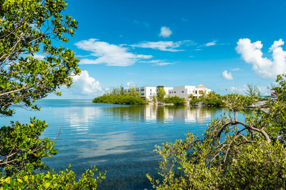 Ocean side apartments