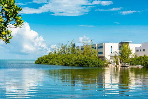 Apartments with views of the ocean