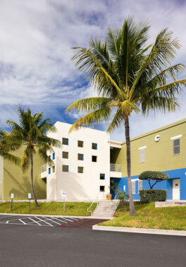 Apartment building surrounded by palm trees